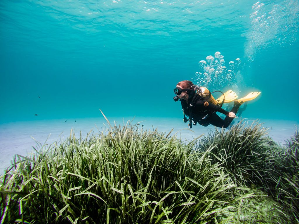 Plongée à Porto Cristo