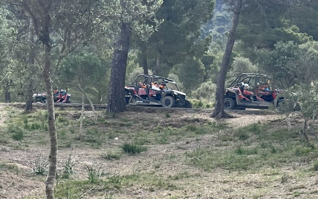 Dragon buggy côte Est