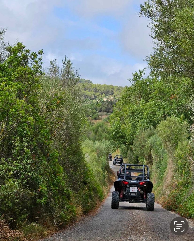 Dragon buggy côte Est