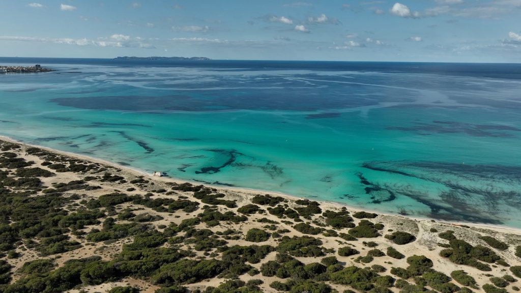 Sortie en bateau à Es Trenc